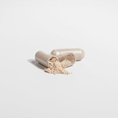 Cordyceps Mushroom Supplements