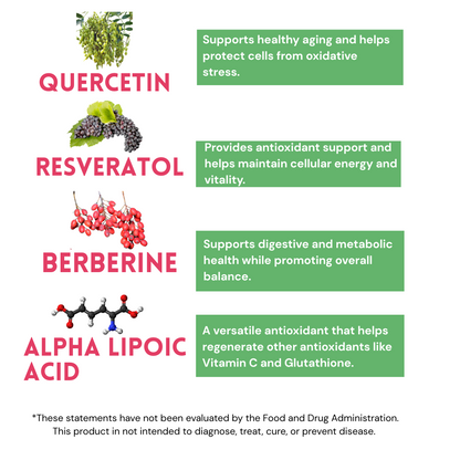 All-in-one NAC N-Acetyl Cysteine Supplement With Quercetin, Milk Thistle, & Glutathione