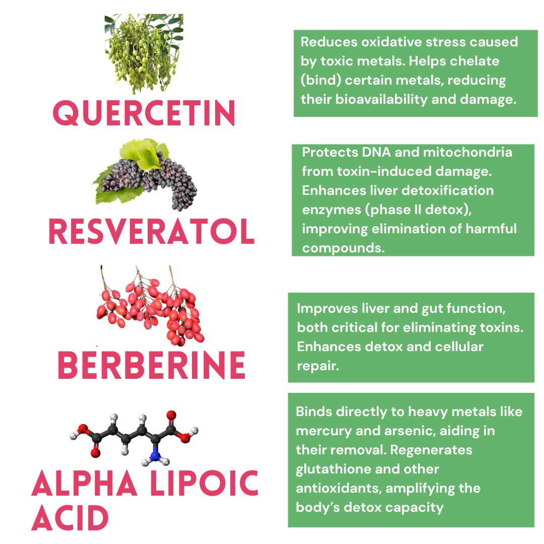 All-in-one NAC Supplement N-Acetyl Cysteine, Quercetin, Milk Thistle, Glutahione, Vitamin C, Black Pepper Extract, Resveratrol, Alpha Lipic Acid, Berberine all natural capsules.